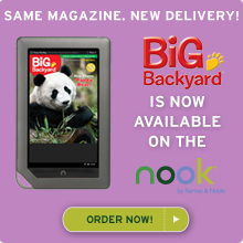 Our award-winning children's magazines are now available on the Nook!